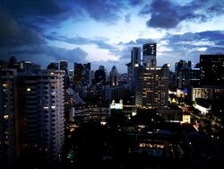 The Scotts Tower (D9), Condominium #396822921